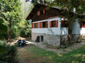 Chalet Le Tyrolien, au coeur du Boréon Saint-Martin-Vésubie